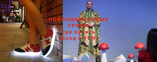сатива Медвежьегорск