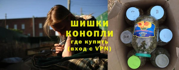 гашик Всеволожск