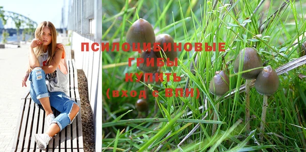 дживик Михайловка