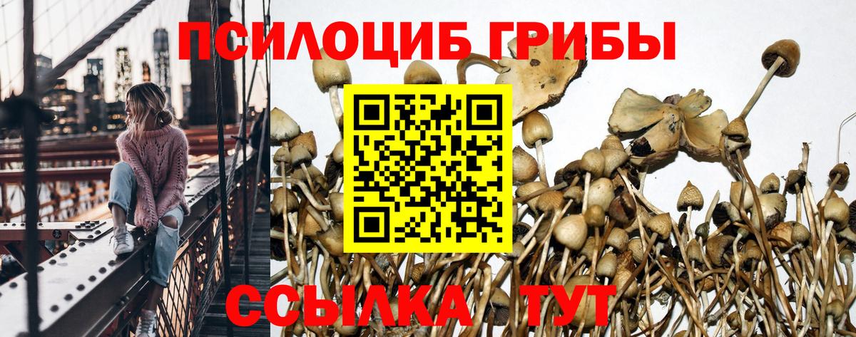 Сатка  Галлюциногенные грибы прущие грибы  Вход с VPN 