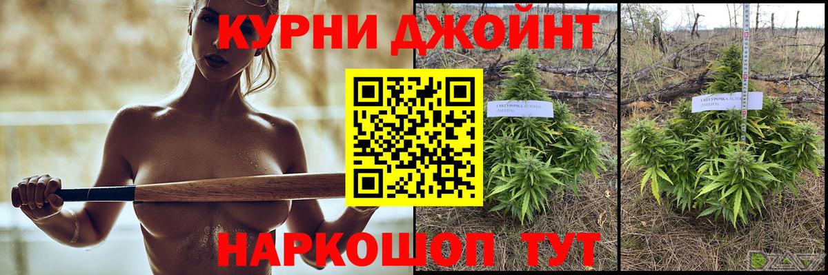 Каннабис SATIVA & INDICA Сатка